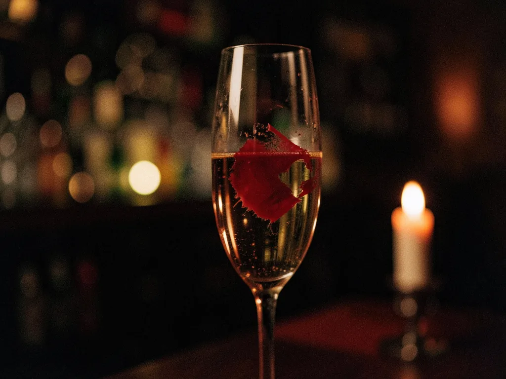 Chambéry — illustration éditoriale 1